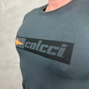 Camisetas Colcci