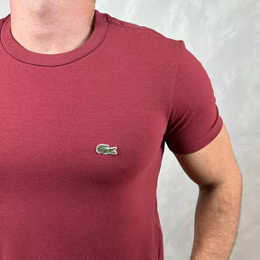 Camisetas - Lacoste