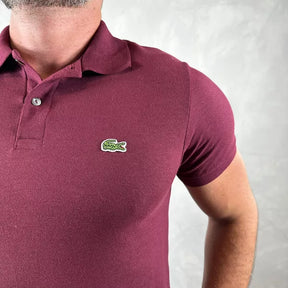 Polo Lacoste Tradicional Vinho