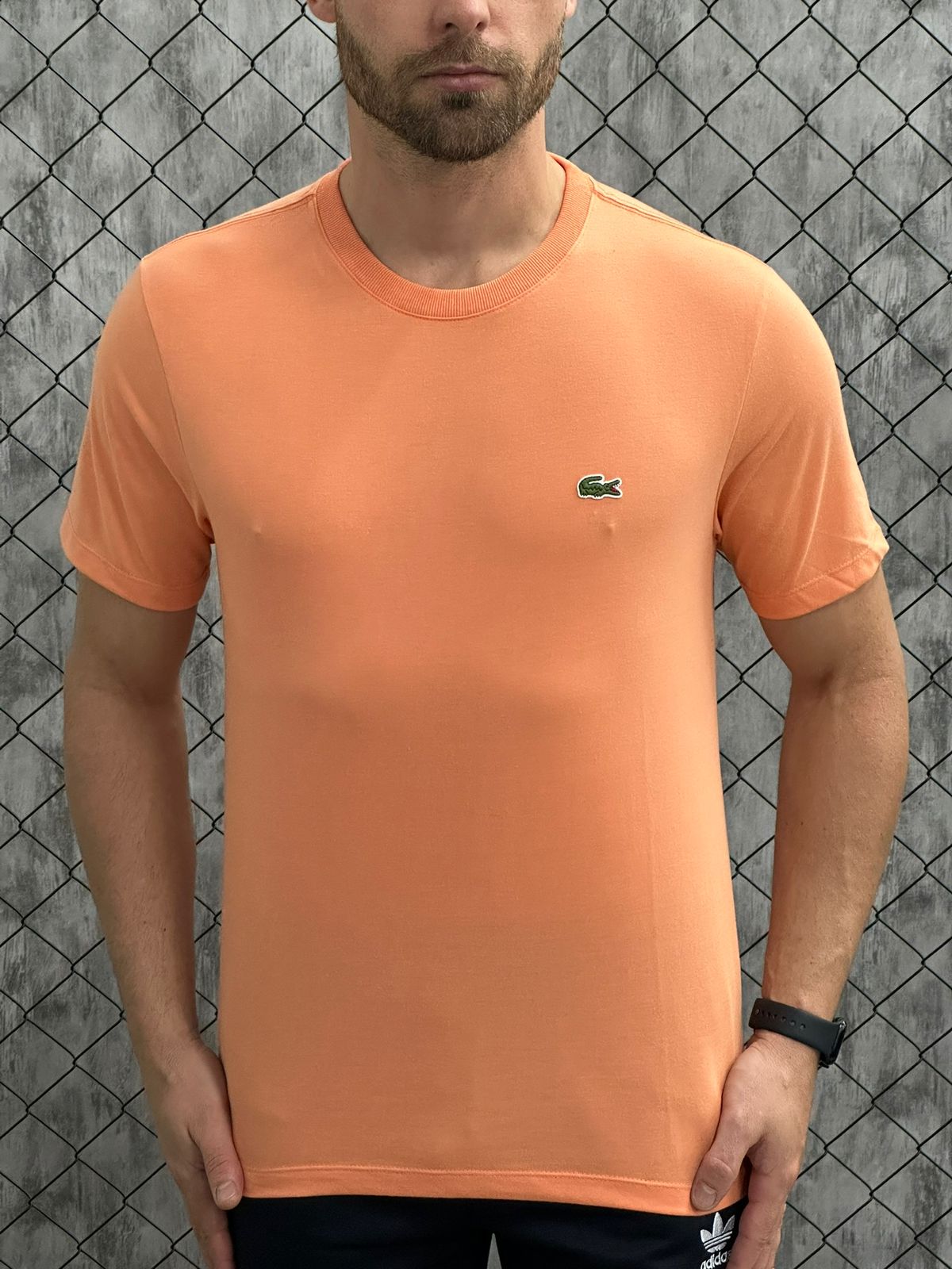 Camisetas - Lacoste