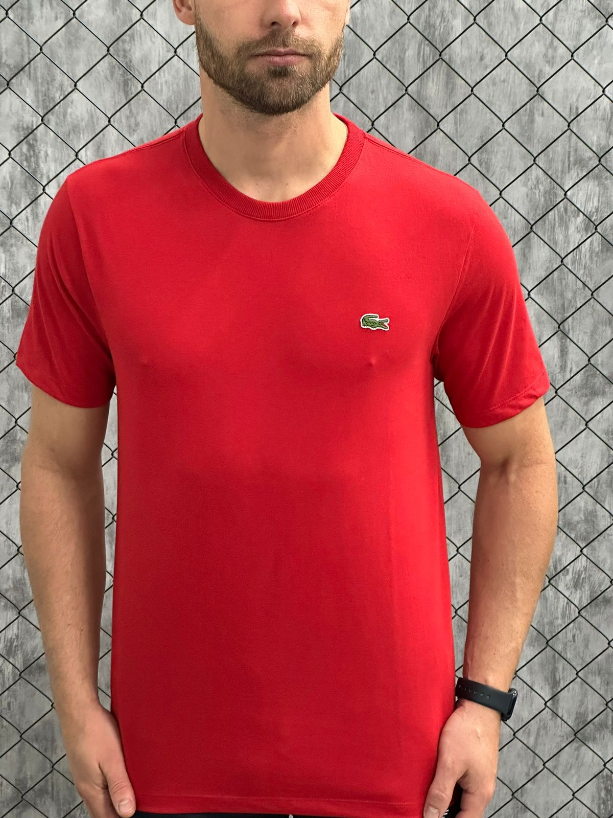 Camisetas - Lacoste