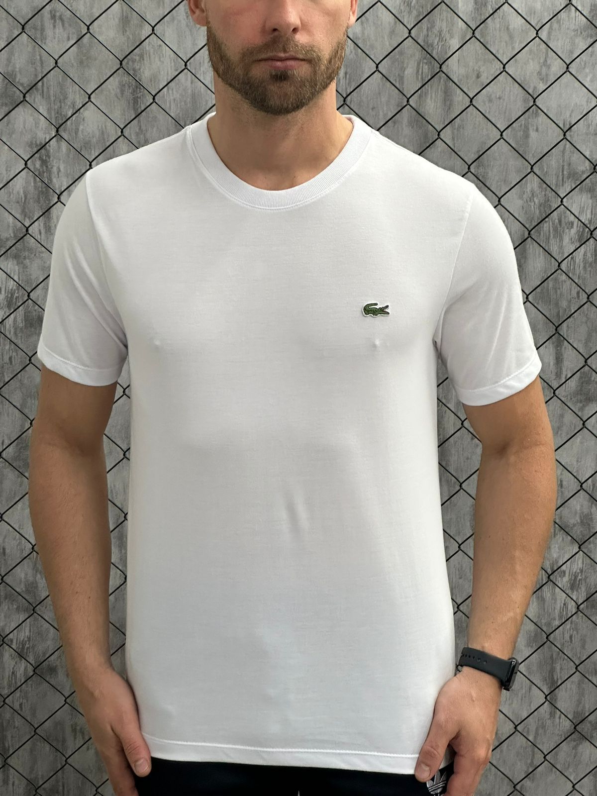 Camisetas - Lacoste